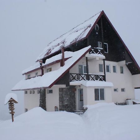 Snow House Hostel Gudauri Ngoại thất bức ảnh